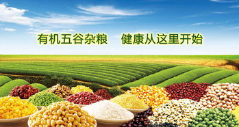 2019廣州有機展 引領健康生活新風尚，匯聚全球有機農副精品