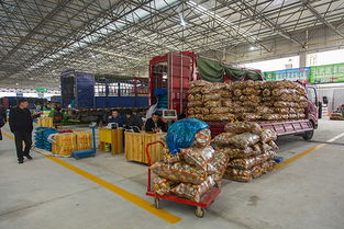 麗水南城農副產品市場 鏡頭下的“山耕”之美