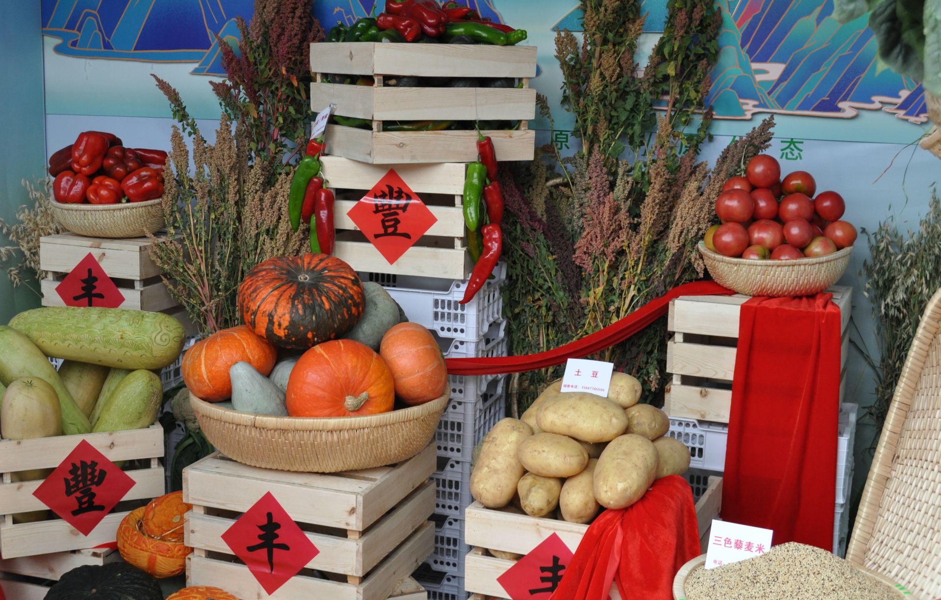 打造綠色糧倉與特色品牌 全方位建設(shè)模范自治區(qū)的北疆農(nóng)副產(chǎn)品新實(shí)踐